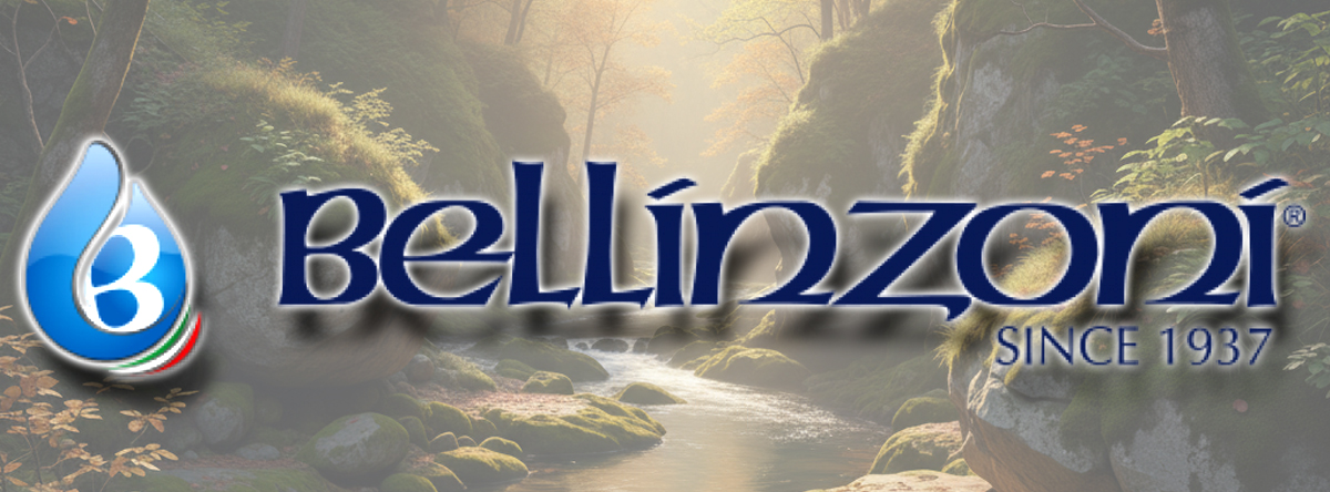 bellinzoni-diasegment